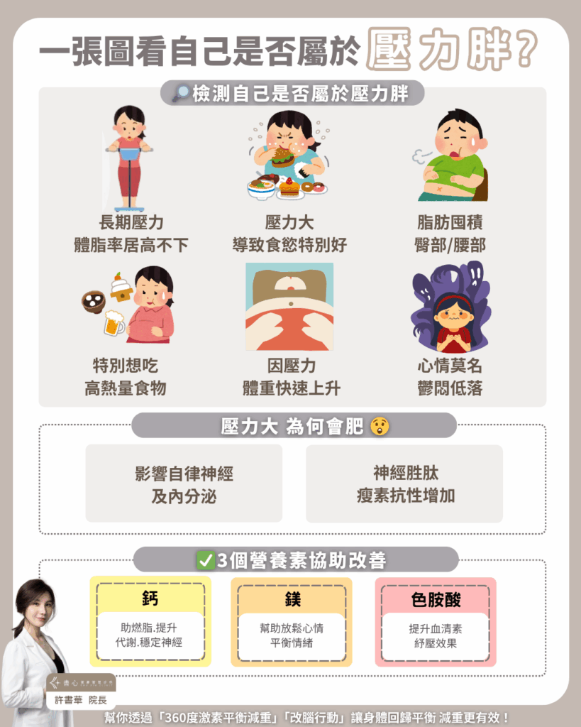 壓力太大會變胖嗎？別再錯怪你的意志力！「壓力胖」是激素失衡的求救訊號