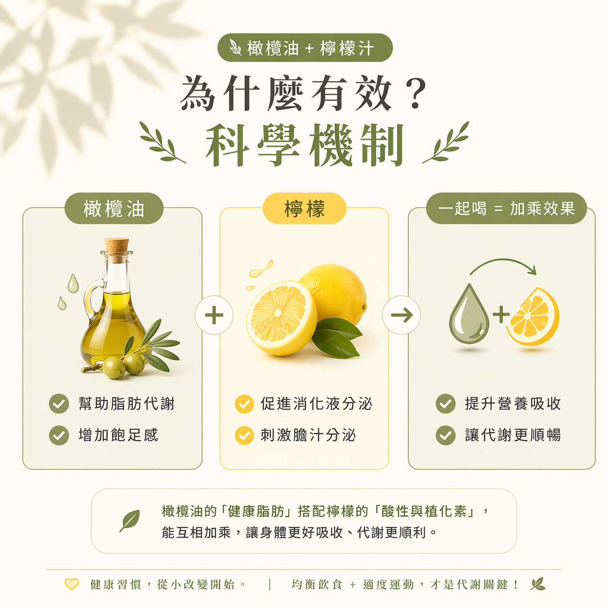 橄欖油+檸檬汁的優化代謝機制