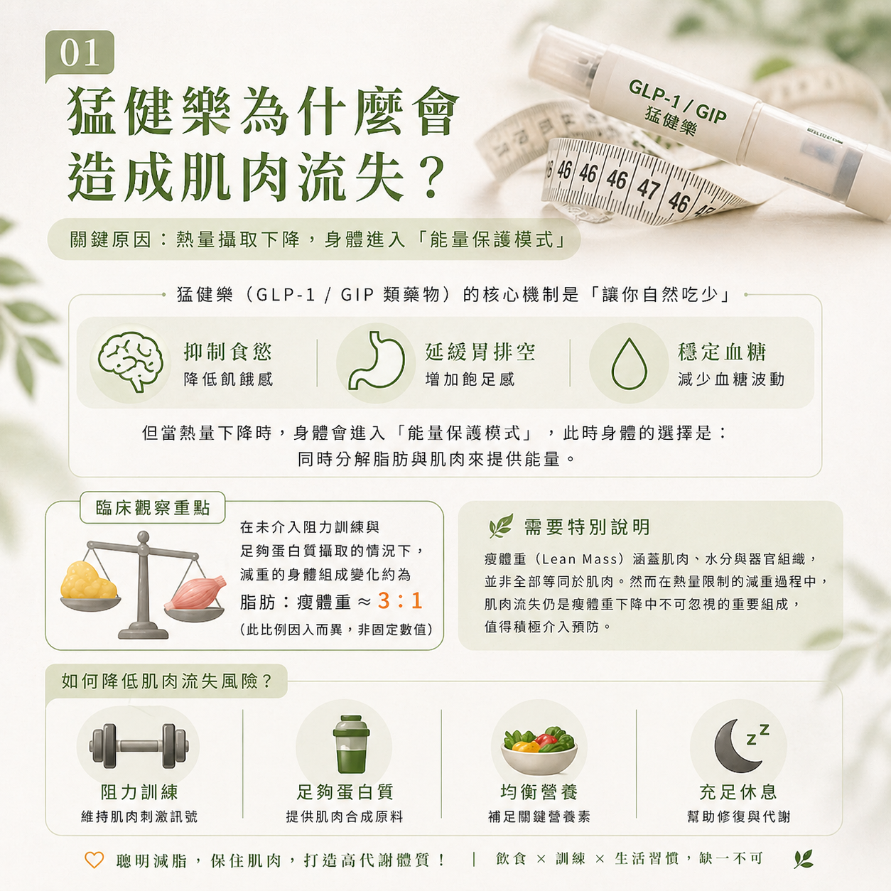 猛健樂為什麼會造成肌肉流失？