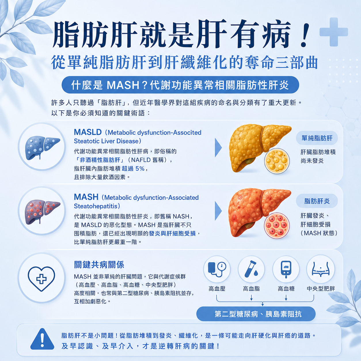脂肪肝警示與健康關聯圖解
