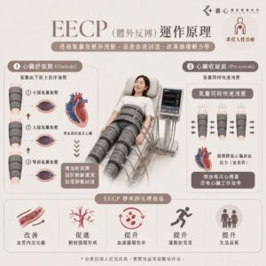 EECP(體外反搏)運作原理,說明舒張期依序加壓、收縮前氣囊同時快速洩壓的循環機制。