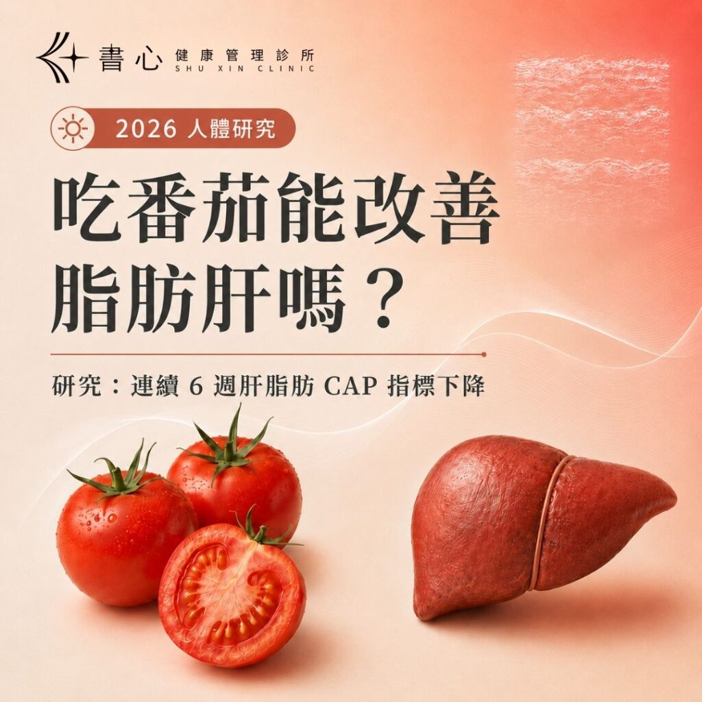 吃番茄能改善脂肪肝嗎？2026 年人體研究顯示連續 6 週攝取番茄後肝脂肪 CAP 指標下降