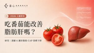 吃番茄能改善脂肪肝嗎?2026 年研究觀察番茄攝取與肝脂肪 CAP 指標變化